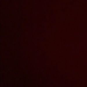 Meet your Posher, Arianna